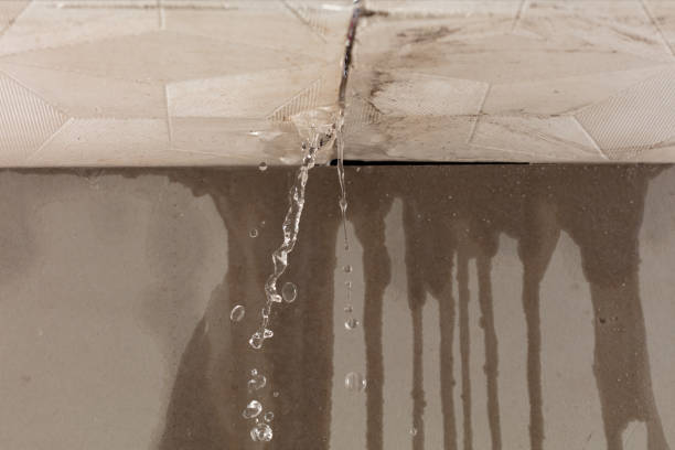 Professional Flood Damage Cleanup technician working in Millville, MN